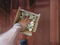 10-7-04_reload 010.jpg